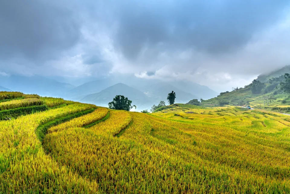 Kho gạo của Hà Thị Diện